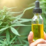 Preparation, Types and Effects of CBD Oil Spray