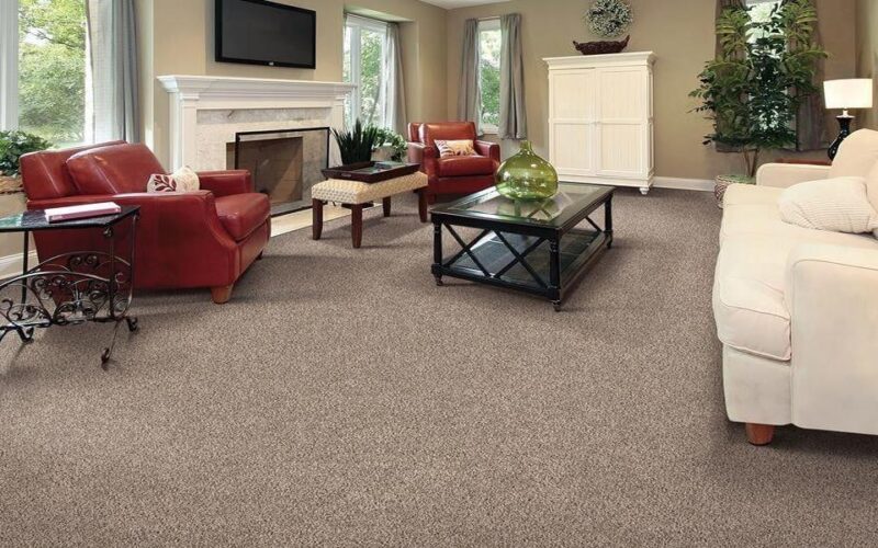 Versatile Creative Ideas for Wall to Wall Carpets